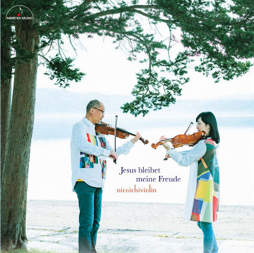 乱子伦在线观看中文字幕
